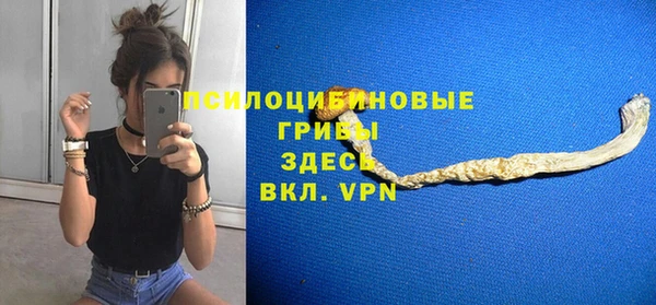 прущие грибы Алексин