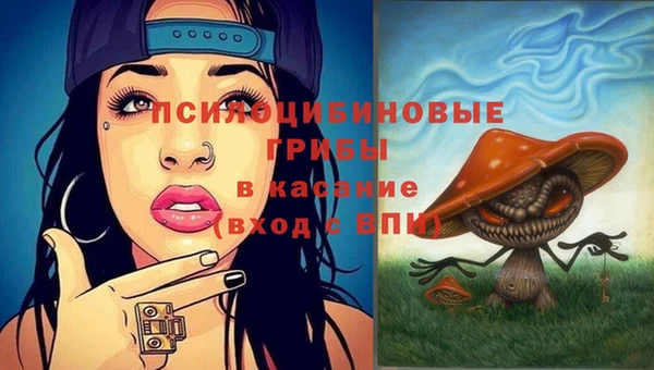 шишки Алексеевка