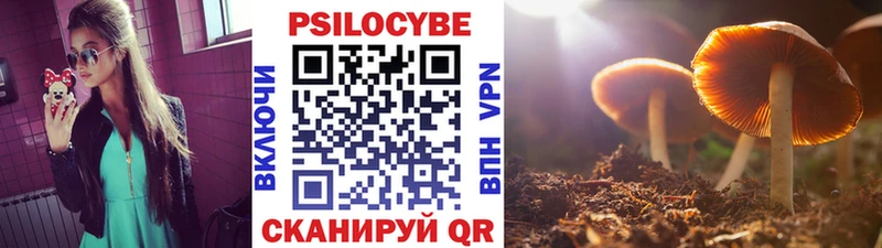 продажа наркотиков  Махачкала  Псилоцибиновые грибы прущие грибы 