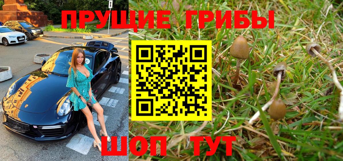 Псилоцибиновые грибы мухоморы Махачкала