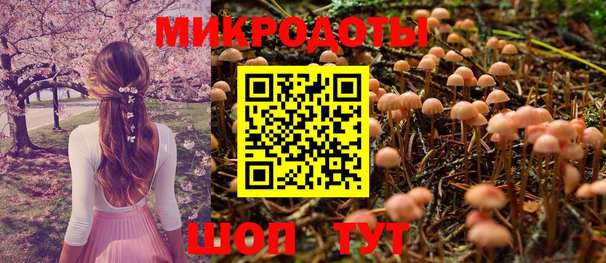 Махачкала  Псилоцибиновые грибы GOLDEN TEACHER  Вход с VPN 